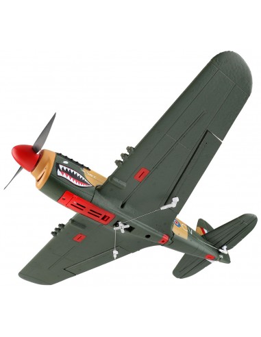 WL Toys P40 Warbird 4Ch Electric Radio Controlled Plane 2.4GHz with 3D/6G Optional Autopilot - photo06