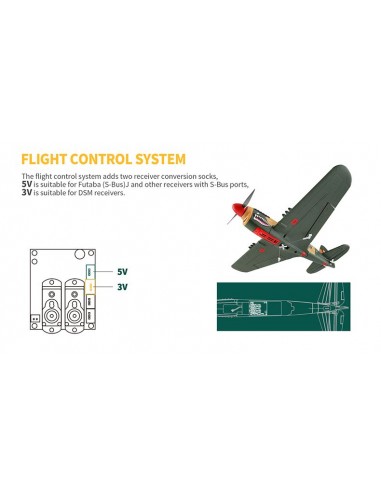 WL Toys P40 Warbird 4Ch Electric Radio Controlled Plane 2.4GHz with 3D/6G Optional Autopilot - photo20