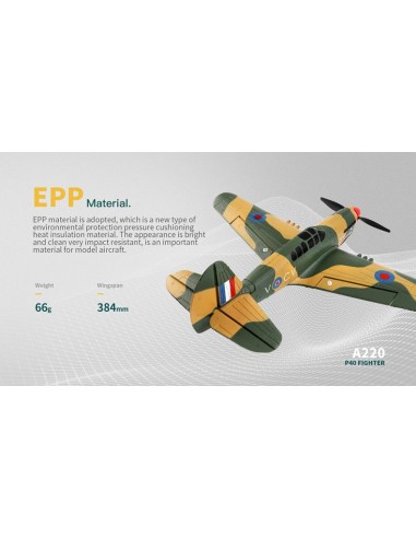WL Toys P40 Warbird 4Ch Electric Radio Controlled Plane 2.4GHz with 3D/6G Optional Autopilot - photo21