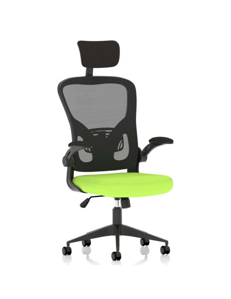 Ace Executive Bespoke Fabric Seat Myrrh Green Mesh Chair With Folding Arms KCUP2003 - pic 31392 | FastDaddyshop