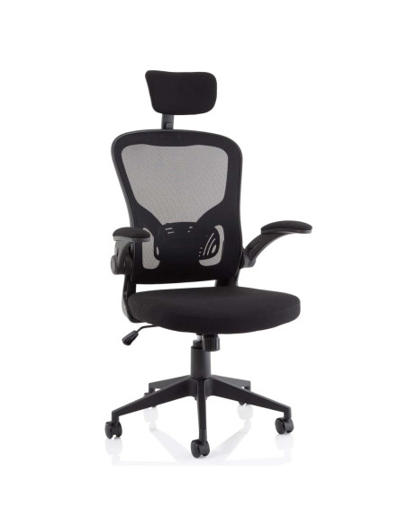 Ace Executive Mesh Chair With Folding Arms OP000317 - pic 31412 | FastDaddyshop