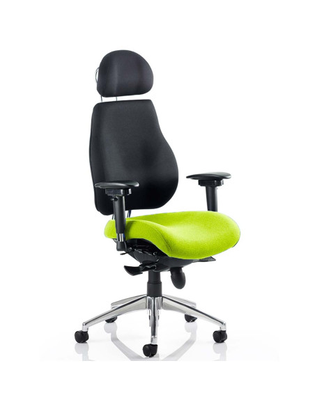 Chiro Plus Ultimate With Headrest Bespoke Colour Seat Chair Myrrh Green KCUP0162 - pic 31830 | FastDaddyshop