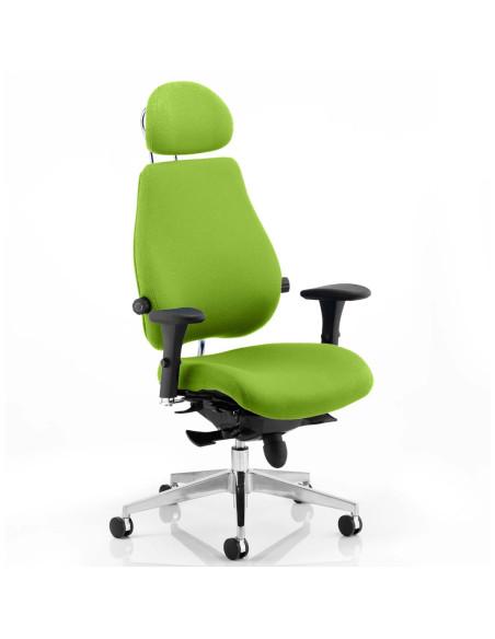 Chiro Plus Ultimate With Headrest Bespoke Colour Chair Myrrh Green KCUP0170 - pic 31846 | FastDaddyshop
