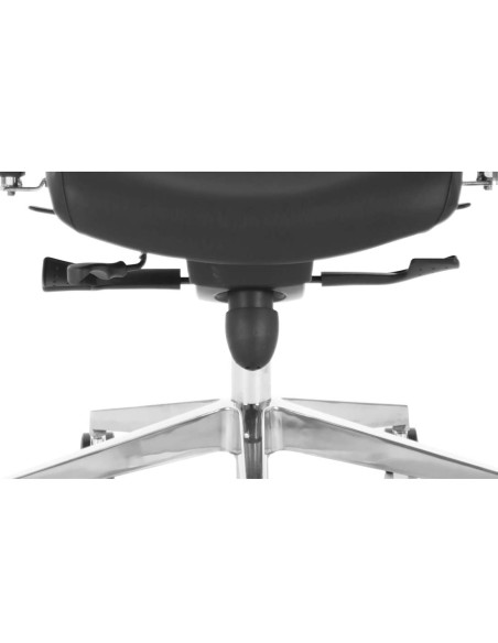 Chiro Plus Ultimate Office Chair Black Leather With Arms, Headrest PO000013 - pic 32358 | FastDaddyshop