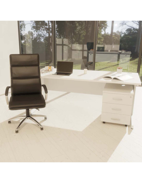 Classic Executive Office Chair High Back Tan With Arms EX000008 - pic 32981 | FastDaddyshop