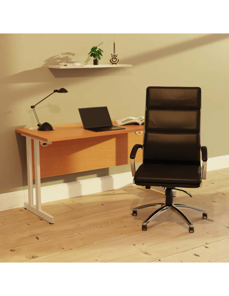 Classic Executive Office Chair High Back White With Arms EX000009 - pic 32990 | FastDaddyshop