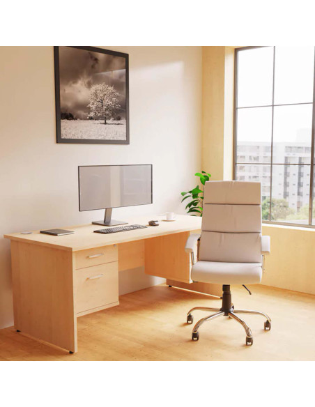 Desire High Executive Office Chair White With Arms EX000020 - pic 33023 | FastDaddyshop