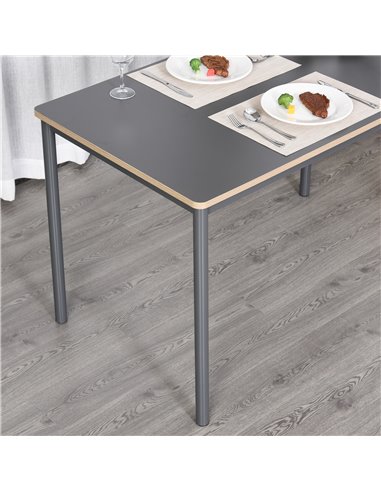HOMCOM 120cm Minimalistic Dining Table w/ Steel Frame Foot Pads Simple Rectangle Style Home Dining Working Display Grey 835-162