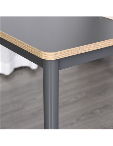 HOMCOM 120cm Minimalistic Dining Table w/ Steel Frame Foot Pads Simple Rectangle Style Home Dining Working Display Grey 835-162