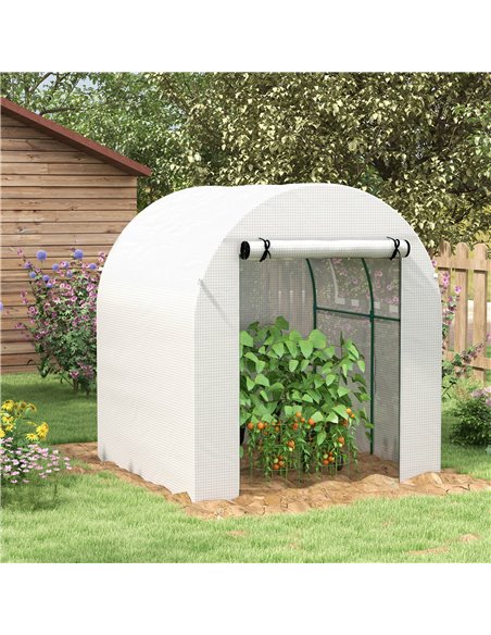 Outsunny Walk in Polytunnel Greenhouse, Green House for Garden with Roll-up Window and Door, 1.8 x 1.8 x 2 m, White 845-775V00WT - pic 39331 | FastDaddyshop