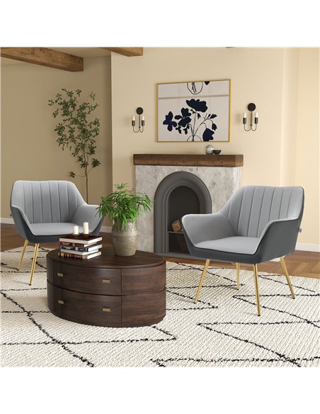 HOMCOM Velvet Armchairs, Upholstered Accent Chairs, Set of 2, Light Grey 839-P024 - pic 40693 | FastDaddyshop