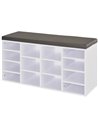 HOMCOM Multi-Storage Shoe Rack with 14 Shelves, White 837-067V70WT