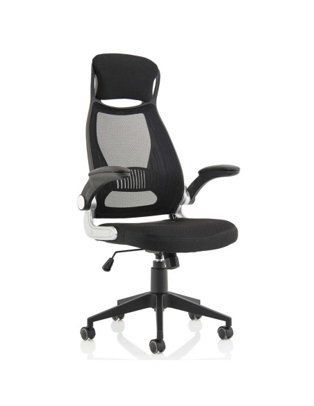 Saturn High Back Executive Home Office Chair With Arms Black EX000241 - pic 51091 | FastDaddyshop