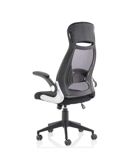 Saturn High Back Executive Home Office Chair With Arms Black EX000241 - pic 51095 | FastDaddyshop