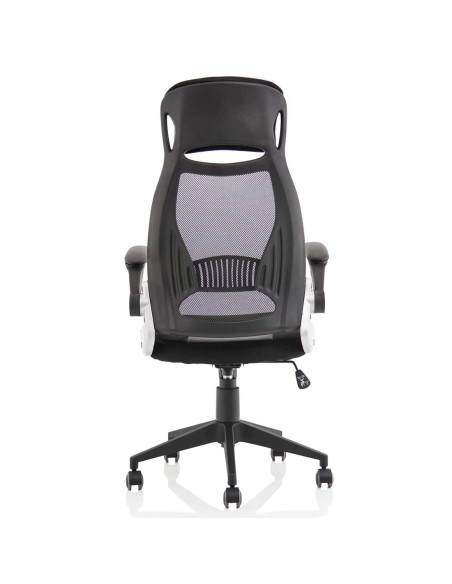 Saturn High Back Executive Home Office Chair With Arms Black EX000241 - pic 51096 | FastDaddyshop
