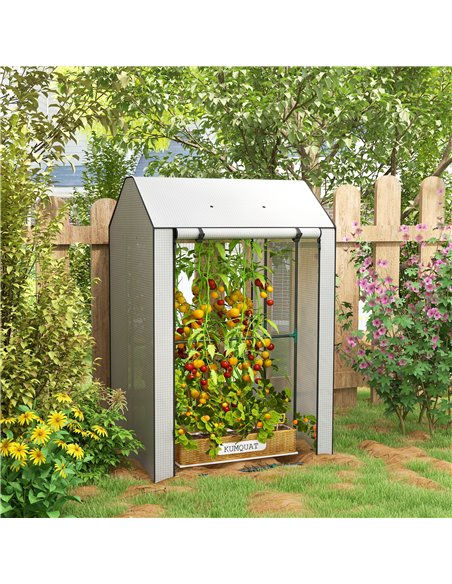 Outsunny Mini Greenhouse with 4 Wire Shelves Portable Garden Grow House Upgraded Tomato Greenhouse with Roll Up Door and Vents,  - pic 53569 | FastDaddyshop