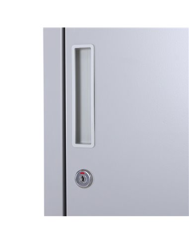 Vinsetto Vertical Locker Cabinet, Cold Rolled Steel Storage with Shelves, Office Cupboard, Grey, 38 x 46 x 180 cm 913-008GY