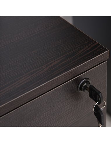 Vinsetto Mobile File Cabinet with 2 Drawers, Locking, Rolling Office Filing Cabinet on 5 Wheels, Black 924-023BK