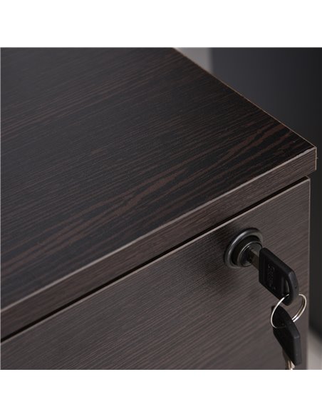 Vinsetto Mobile File Cabinet with 2 Drawers, Locking, Rolling Office Filing Cabinet on 5 Wheels, Black 924-023BK - pic 58335 | FastDaddyshop