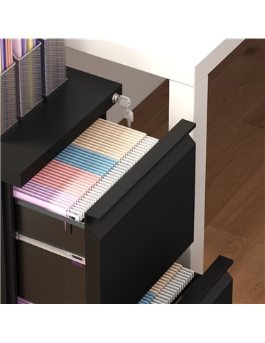 Vinsetto 2-Drawer Mobile Filing Cabinet on Wheels, Steel Lockable File Cabinet with Adjustable Hanging Bar for Letter, A4 and Le