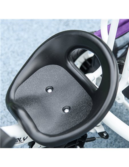 HOMCOM 4 in 1 Kids Trike Push Bike w/ Push Handle, Canopy, 5-point Safety Belt, Storage, Footrest, Brake, for 1-5 Years, Purple  - pic 60949 | FastDaddyshop