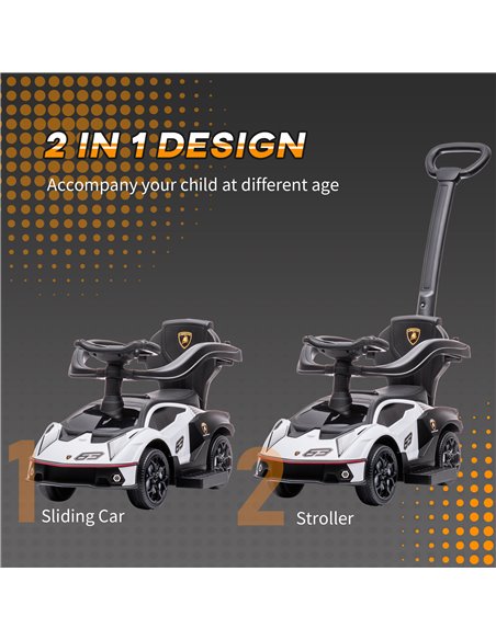 AIYAPLAY 2 in 1 Baby Push Car Essenza SCV12 Licensed Ride On Cars for Toddlers Parent Push Along Car Toddler Sliding Car with Ho - pic 6575 | FastDaddyshop