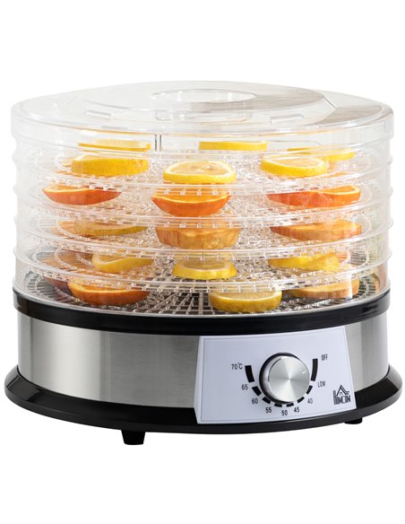 HOMCOM 5 Tier Food Dehydrator, 250W Food Dryer Machine, Silver 800-145V70 - pic 67093 | FastDaddyshop