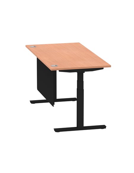 Dynamic Air Modesty 1600 x 800mm Height Adjustable Office Desk Beech Top Cable Ports Modesty Panel HA01447 - pic 78225 | FastDaddyshop