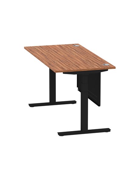 Dynamic Air Modesty 1600 x 800mm Height Adjustable Office Desk Walnut Top Cable Ports Modesty Panel HA01451 - pic 78247 | FastDaddyshop