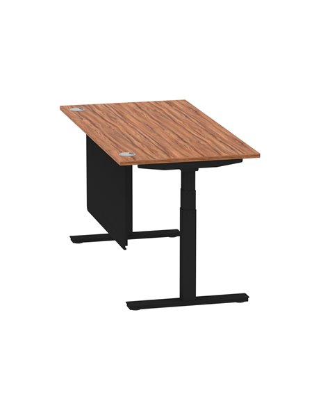 Dynamic Air Modesty 1600 x 800mm Height Adjustable Office Desk Walnut Top Cable Ports Modesty Panel HA01451 - pic 78251 | FastDaddyshop