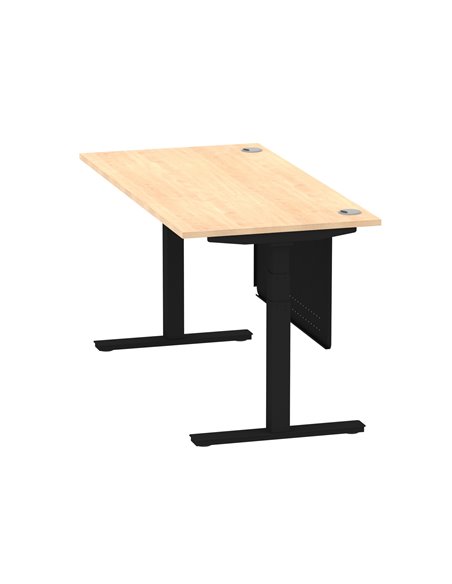 Dynamic Air Modesty 1600 x 800mm Height Adjustable Office Desk Maple Top Cable Ports Modesty Panel HA01459 - pic 78299 | FastDaddyshop