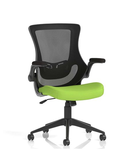 Dynamic Orbit Black Mesh Back Office Chair Bespoke Colour Seat Myrrh Green KCUP2138 - pic 81080 | FastDaddyshop
