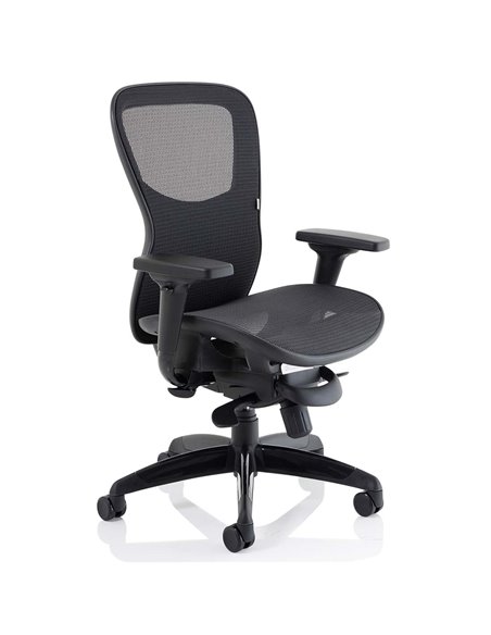 Dynamic Stealth Shadow Ergo Posture Heavy Duty Office Chair Black Mesh Seat And Back PO000021 - pic 81269 | FastDaddyshop