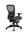 Dynamic Stealth Shadow Ergo Posture Heavy Duty Office Chair Black Mesh Seat And Back PO000021