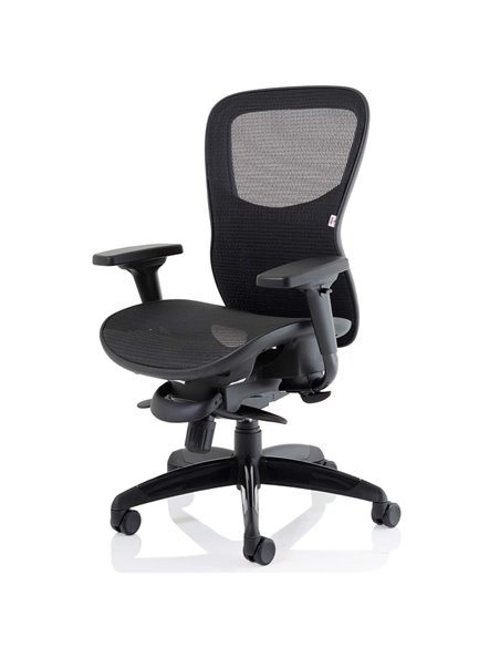Dynamic Stealth Shadow Ergo Posture Heavy Duty Office Chair Black Mesh Seat And Back PO000021 - pic 81271 | FastDaddyshop