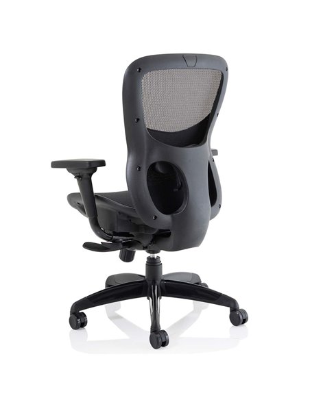 Dynamic Stealth Shadow Ergo Posture Heavy Duty Office Chair Black Mesh Seat And Back PO000021 - pic 81273 | FastDaddyshop