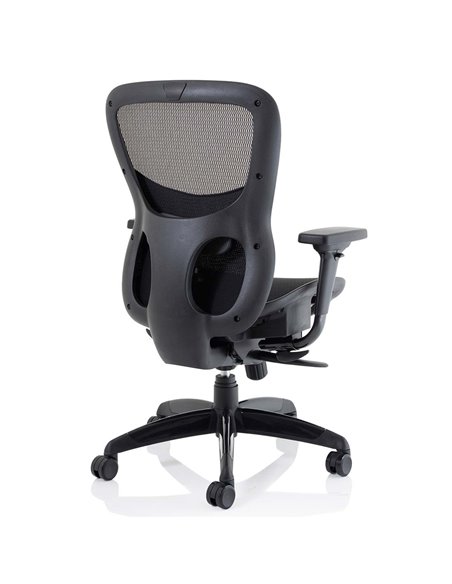 Dynamic Stealth Shadow Ergo Posture Heavy Duty Office Chair Black Mesh Seat And Back PO000021 - pic 81275 | FastDaddyshop