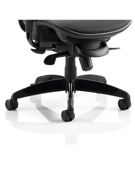 Dynamic Stealth Shadow Ergo Posture Heavy Duty Office Chair Black Mesh Seat And Back PO000021 - pic 81279 | FastDaddyshop
