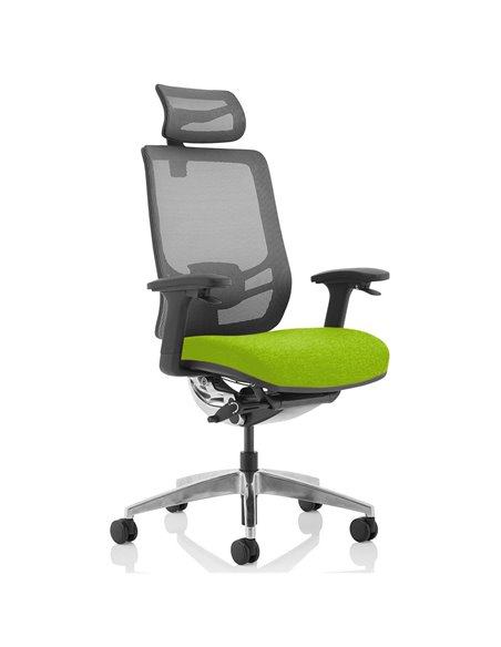 Dynamic Ergo Click Posture Office Chair Bespoke Fabric Seat Myrrh Green Black Mesh Back with Headrest KCUP1929 - pic 81366 | FastDaddyshop
