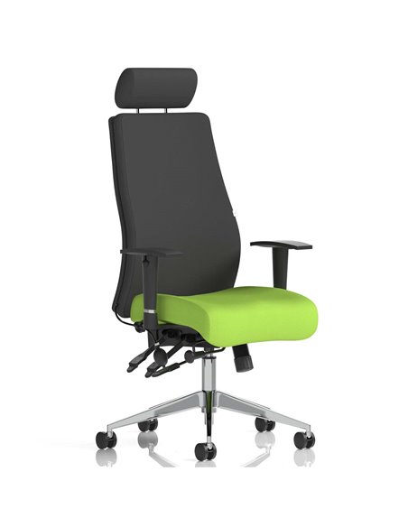 Dynamic Onyx Posture Office Chair Bespoke Colour Seat With Headrest Myrrh Green KCUP0418 - pic 81559 | FastDaddyshop