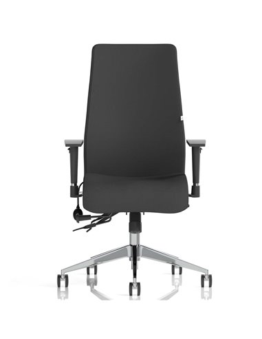 Dynamic Onyx Posture Office Chair Bespoke Colour Seat Without Headrest Stevia Blue KCUP0427