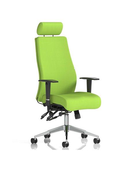 Dynamic Onyx Posture Office Chair Bespoke Colour With Headrest Myrrh Green KCUP0434 - pic 81695 | FastDaddyshop