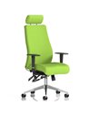Dynamic Onyx Posture Office Chair Bespoke Colour With Headrest Myrrh Green KCUP0434