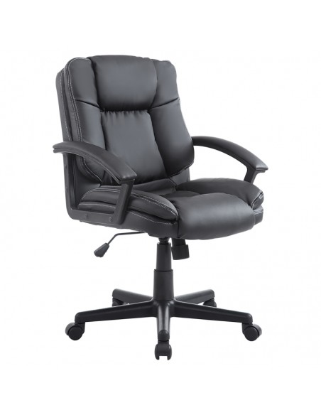 Homcom Swivel Executive Office Chair PU Leather with Double-Tier Padding, Arm, Wheels, Black - pic 8229 | FastDaddyshop
