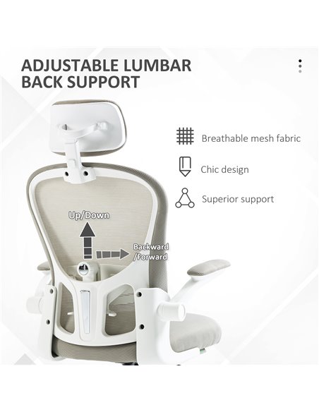 Vinsetto Multi-Adjustable Office Chair, with Lumbar Support, Headrest and Mesh Back - Grey 921-688V70GY - pic 86568 | FastDaddyshop