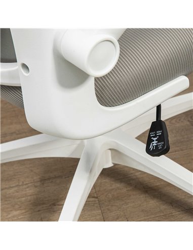 Vinsetto Multi-Adjustable Office Chair, with Lumbar Support, Headrest and Mesh Back - Grey 921-688V70GY