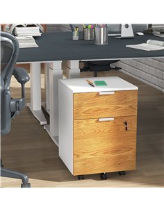 HOMCOM 2 Drawer Filing Cabinet w/ Lock & Wheels, Mobile File Cabinet w/ Adjustable Hanging Bars for A4 & Letter, Under Desk Offi 2