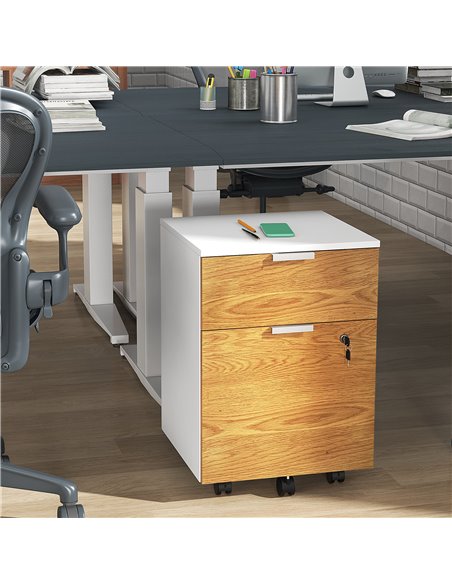 HOMCOM 2 Drawer Filing Cabinet w/ Lock & Wheels, Mobile File Cabinet w/ Adjustable Hanging Bars for A4 & Letter, Under Desk Offi - pic 86898 | FastDaddyshop