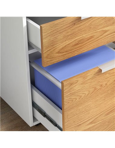 HOMCOM 2 Drawer Filing Cabinet w/ Lock & Wheels, Mobile File Cabinet w/ Adjustable Hanging Bars for A4 & Letter, Under Desk Offi
