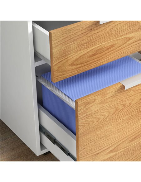 HOMCOM 2 Drawer Filing Cabinet w/ Lock & Wheels, Mobile File Cabinet w/ Adjustable Hanging Bars for A4 & Letter, Under Desk Offi - pic 86905 | FastDaddyshop